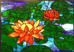 Waterlillies