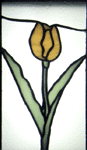 Yellow Tulip