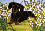 Daschund and Daffodils