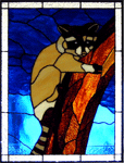 Raccoon