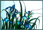 Japanese Irises