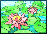Water Lillys