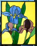 Neva's Irises