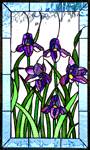 Irises