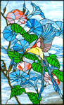 Bird of Paradise