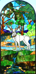 Stag