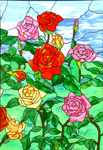 A Rose Plethora