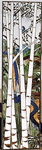 Birch Trees