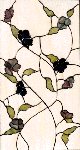 Vines