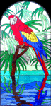 Tropical Macaw