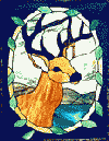 Buck