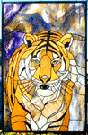 Spiritual Tiger